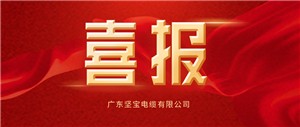 重磅喜訊！熱烈祝賀堅寶電纜榮登"2023年度電線(xiàn)電纜十大品牌"??！