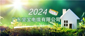 2024年線(xiàn)纜行業(yè)有哪些機會(huì )？這兩場(chǎng)會(huì )議釋放重要信號