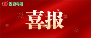 【重磅喜報】熱烈祝賀堅寶中標湖南國網(wǎng)配網(wǎng)物資項目