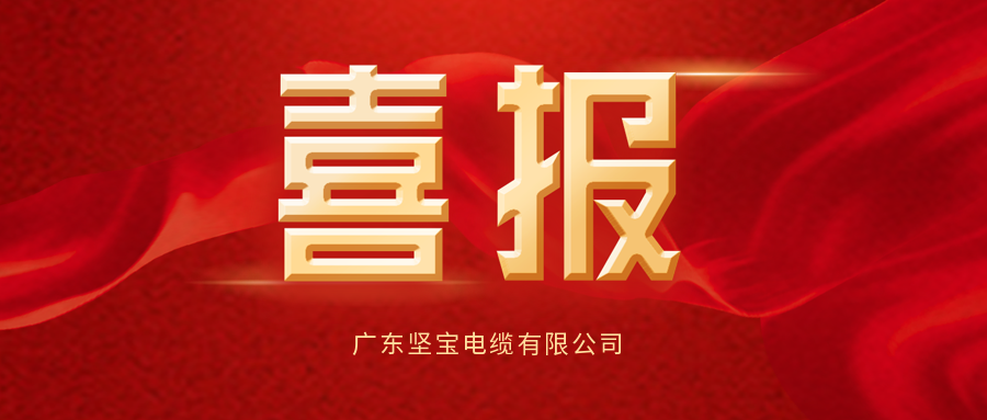 集團喜獲2024中國電力電纜  供應商綜合實(shí)力50強等多項榮譽(yù)